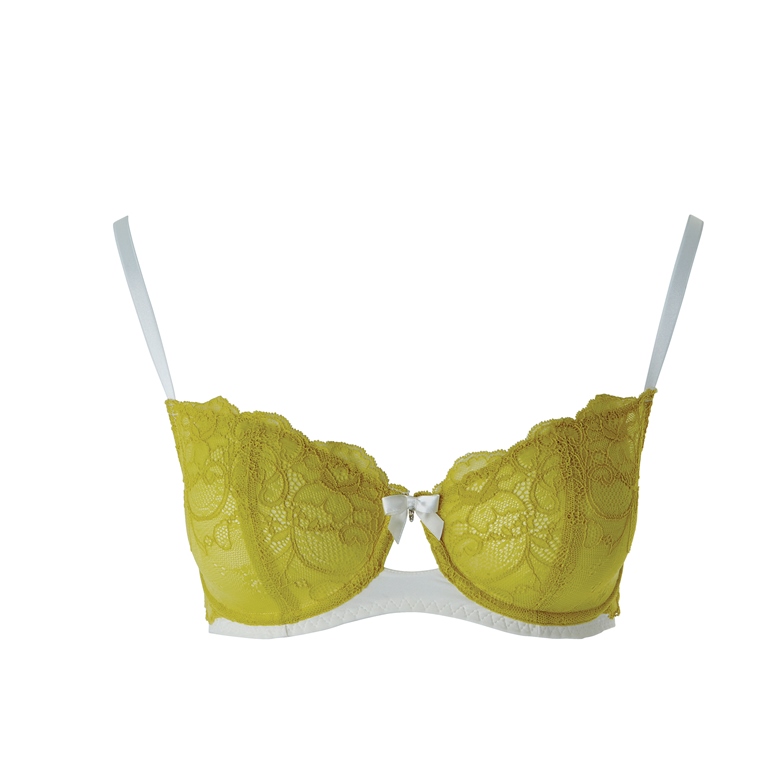 Britney Speasr_Clematis-yellow_Gatta